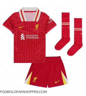 Liverpool Luis Diaz #7 Hjemmebanetrøje Børn 2024-25 Kortærmet (+ Korte bukser)